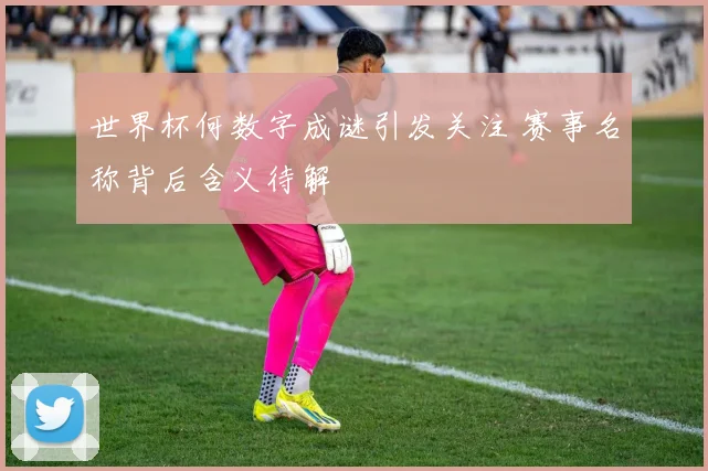 世界杯何数字成谜引发关注 赛事名称背后含义待解