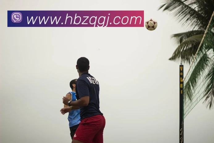 多媒体互动体验